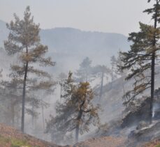 Muğla'da devam eden 5 yangına havadan ve karadan müdahale ediliyor