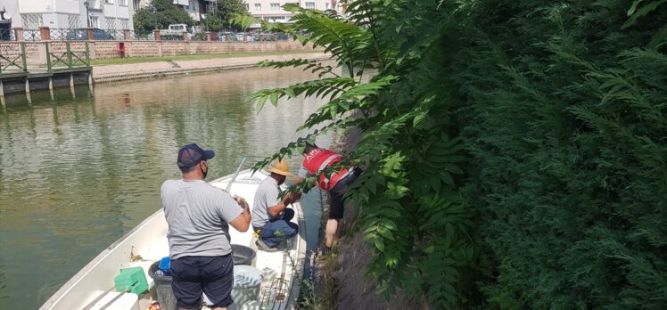 Porsuk Çayı kenarındaki ağaçlık alanda mahsur kalan köpek yavrularını AKUT ekipleri kurtardı