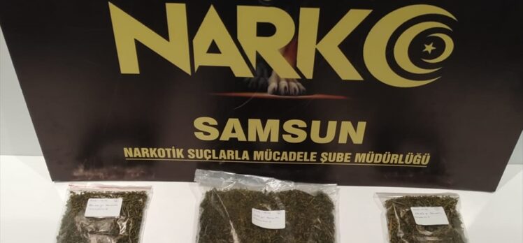 Samsun'da uyuşturucu operasyonunda 2 kişi yakalandı