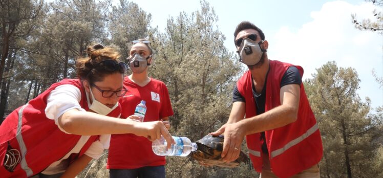 Türk Kızılaydan, Muğla'da söndürme çalışması yürüten Azerbaycan ekibine doğum günü sürprizi