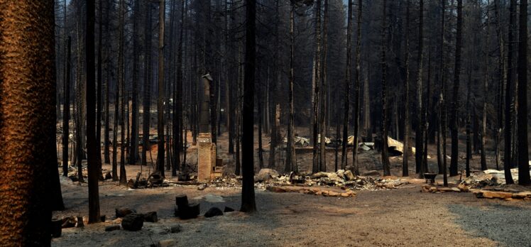 ABD'de iki haftadır devam eden “Caldor” yangını nedeniyle California ve Nevada'da acil durum ilan edildi