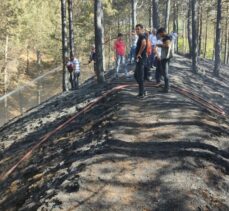 Bingöl'de ormanlık alanda çıkan yangın kontrol altına alındı