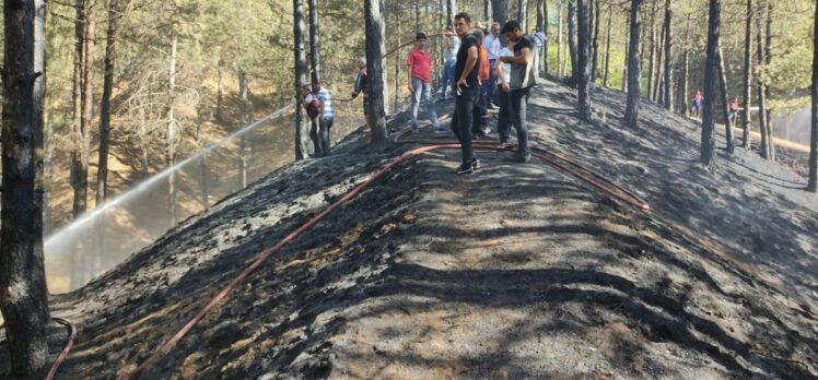 Bingöl'de ormanlık alanda çıkan yangın kontrol altına alındı