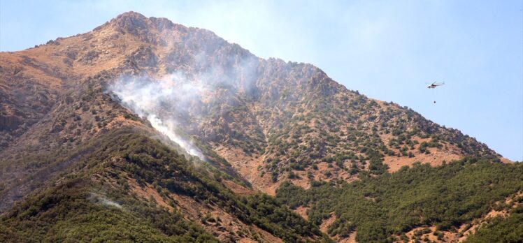 Bitlis'teki örtü yangına havadan ve karadan müdahale ediliyor