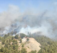 Bodrum ve Milas'taki orman yangınlarına 3 uçak ve 12 helikopterle müdahale ediliyor
