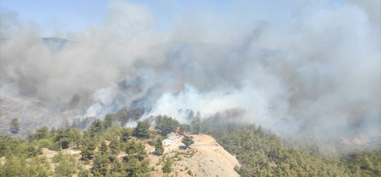 Bodrum ve Milas'taki orman yangınlarına 3 uçak ve 12 helikopterle müdahale ediliyor