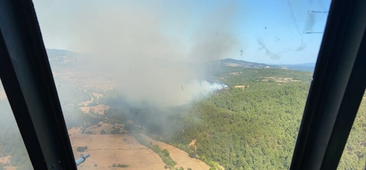 Çanakkale'de çıkan orman yangınına müdahale ediliyor