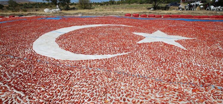 Elazığ'da mevsimlik işçiler kurutmalık domateslerle ay yıldızlı Türkiye haritası yaptı