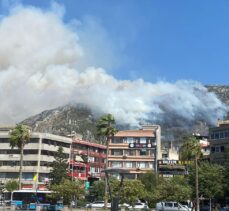 Hatay'da çıkan orman yangınına müdahale ediliyor