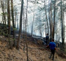 Kars'ta çıkan orman yangınında 1 hektar alan zarar gördü