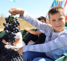 Kırklareli'nde “Kızılcıkdere 1. Bağ Bozumu” etkinliği yapıldı