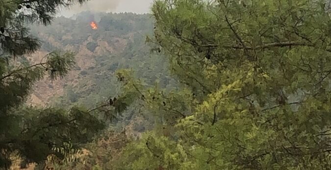 GÜNCELLEME – Marmaris'te çıkan orman yangını kontrol altına alındı