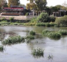 Meriç gibi Tunca Nehri'nde de kuraklığın etkisi görülüyor