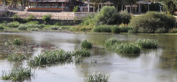 Meriç gibi Tunca Nehri'nde de kuraklığın etkisi görülüyor