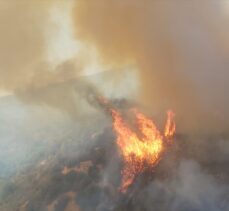 Milas'ta çıkan orman yangınına müdahale ediliyor