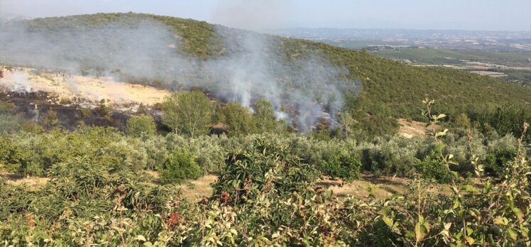 Osmaniye'de çıkan orman yangını söndürüldü