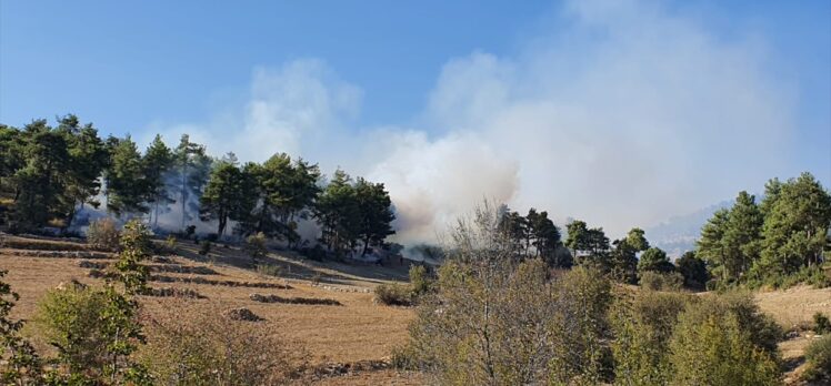 Tarsus'ta çıkan orman yangını kontrol altına alındı
