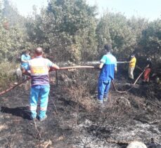 Uludağ eteklerinde çıkan yangın kontrol altına alındı