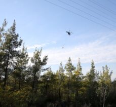 Adana'da çıkan orman yangını söndürüldü