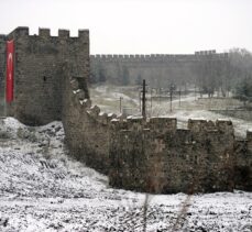 Kars ve Ardahan'da kar yağışı etkili oluyor