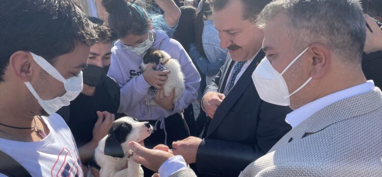 Balıkesir'deki barınakta Dünya Hayvanları Koruma Günü etkinliği düzenlendi