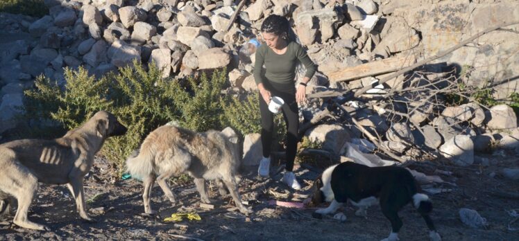 Baraj nedeniyle boşaltılan köyde sahipsiz kalan köpekler destek bekliyor