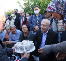 CHP Genel Başkanı Kılıçdaroğlu, Muğla'da limon hasadına katıldı