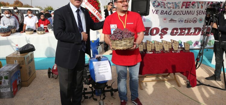 Elazığ'da 15. Geleneksel Orcik ve Bağ Bozumu Festivali yapıldı