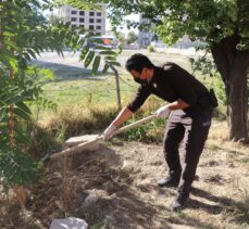 Kayseri'de ölen köpeğin gömüldüğü çukur cinayet şüphesiyle açıldı