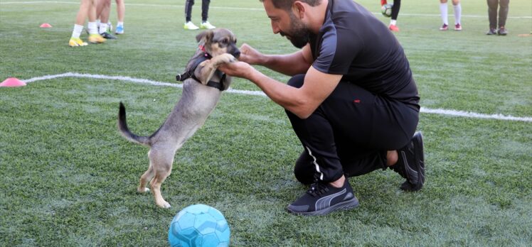 Minik “Bırçın” futbol takımının maskotu oldu