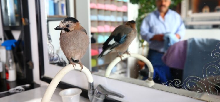 Sahiplendiği karga yavrusu “Şakir” ile dostluğu görenleri şaşırtıyor