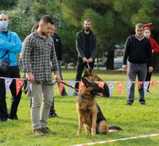 Samsun'da “Uluslararası Köpek Irkları Yarışması” yapıldı