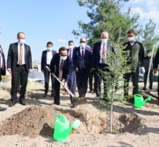 Tarım ve Orman Bakan Yardımcısı Özkaldı, Denizli'de incelemelerde bulundu