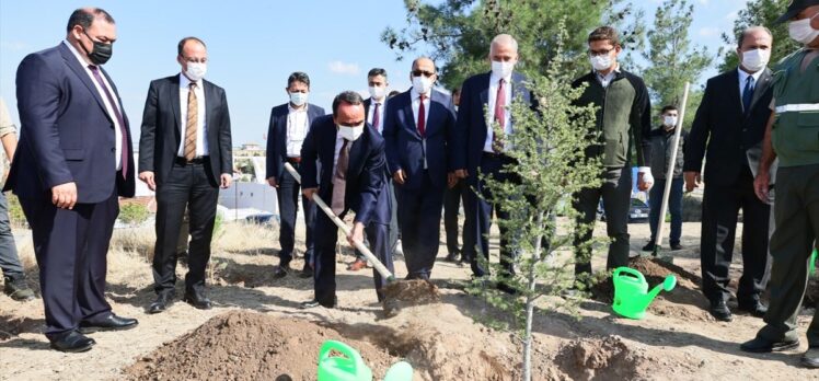 Tarım ve Orman Bakan Yardımcısı Özkaldı, Denizli'de incelemelerde bulundu