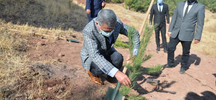 Tunceli'de Kovid-19 aşısı olanlar için birer fidan dikiliyor