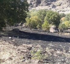 Tunceli'nin Nazımiye ilçesinde çıkan örtü yangını söndürüldü