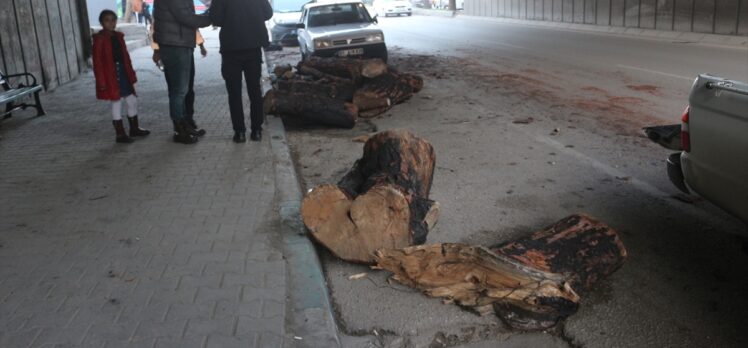 Adana'da bir kamyondan yola düşen odunlar 3 otomobile zarar verdi