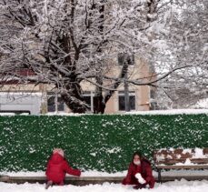 Erzurum, Kars ve Ardahan'da kar yağışı etkili oldu