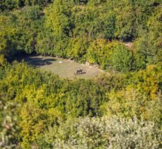 Diyarbakır'ın Akdeniz iklimli Geçit köyünde sonbahar, drone görüntülerine yansıdı