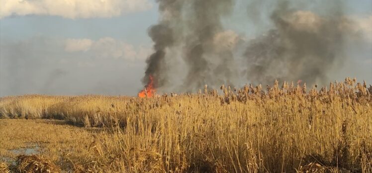 Eber Gölü çevresindeki sazlık alanda yangın çıktı