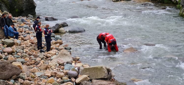 Giresun'da korkuluğuna çarptığı köprüden dereye düşen kamyonet sürücüsü yaşamını yitirdi