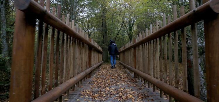 İğneada Longoz Ormanı'ndaki dereler ahşap köprüler ile aşılacak