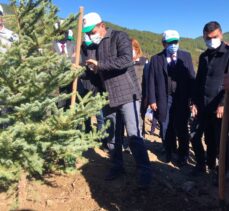 Isparta ve Burdur'daki orman yangınlarından etkilenen alanlarda fidanlar toprakla buluştu