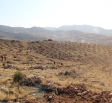 Gaziantep ve çevre illerde Milli Ağaçlandırma Günü etkinliği düzenlendi