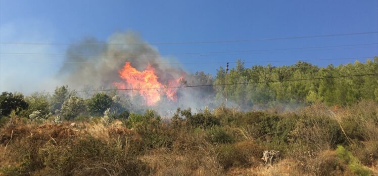 Mersin'de çıkan orman yangınına müdahale ediliyor