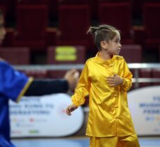 Wushu Tai Chi Türkiye Şampiyonası Sakarya'da başladı