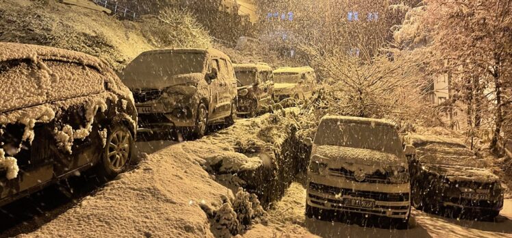 Artvin'de kar yağışı etkili oluyor