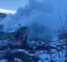 Burdur'da ev ve ahırda çıkan yangında 11 hayvan telef oldu