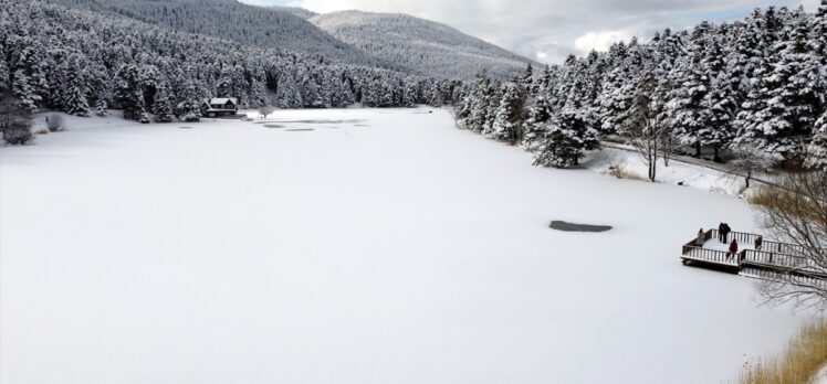 Gölcük Tabiat Parkı'ndaki gölün yüzeyi buz tuttu
