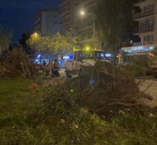 İzmir'de şiddetli rüzgar nedeniyle çok sayıda ağaç devrildi